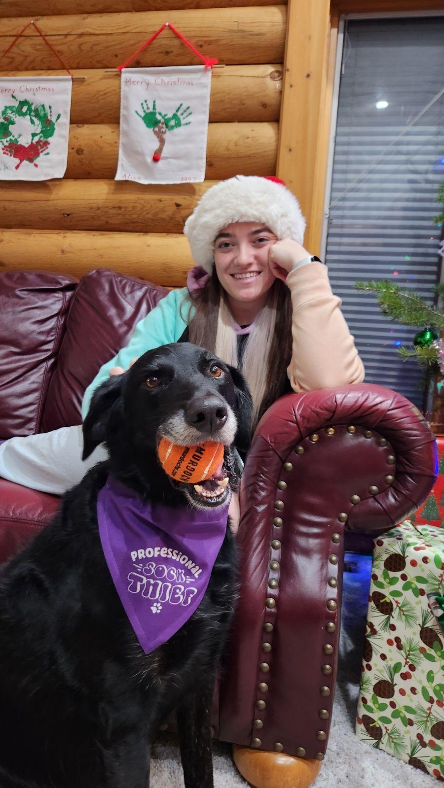 Dog Bandana