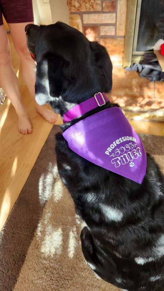 Dog Bandana